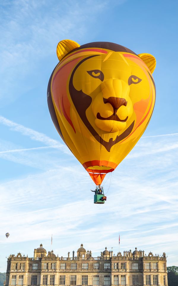 Lion hot air balloon