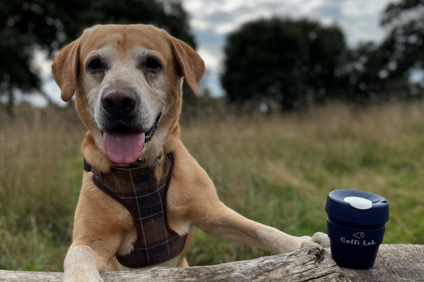 Coffi Lab to Open Flagship Pontcanna Store, “Dylan’s Lab,” in Tribute to Founder’s Beloved Dog