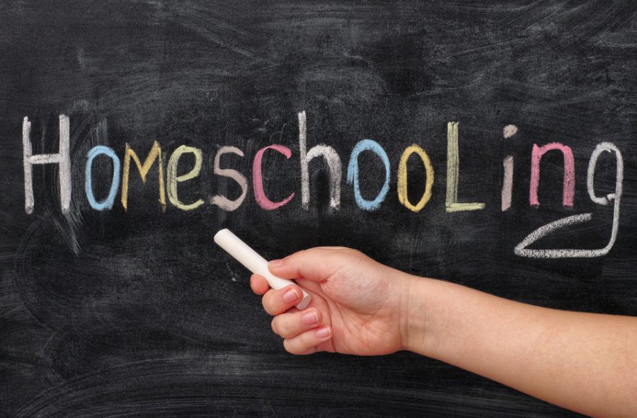The Best Homeschooling Websites for Parents