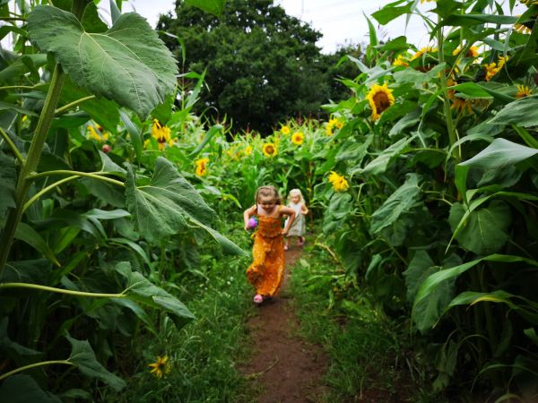 Clearwell Farm Cardiff