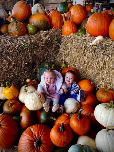 Client Image: Clearwell Farm Pumpkin Babies