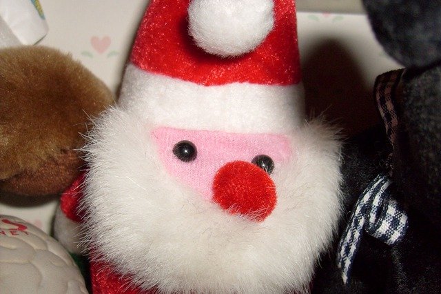 Fluffy Santa Ornament