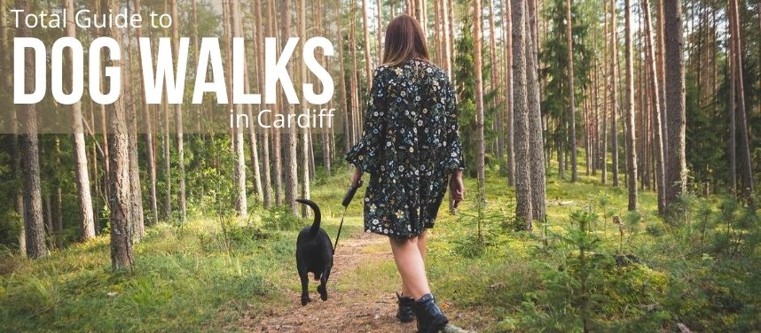 Dog Walks in Cardiff