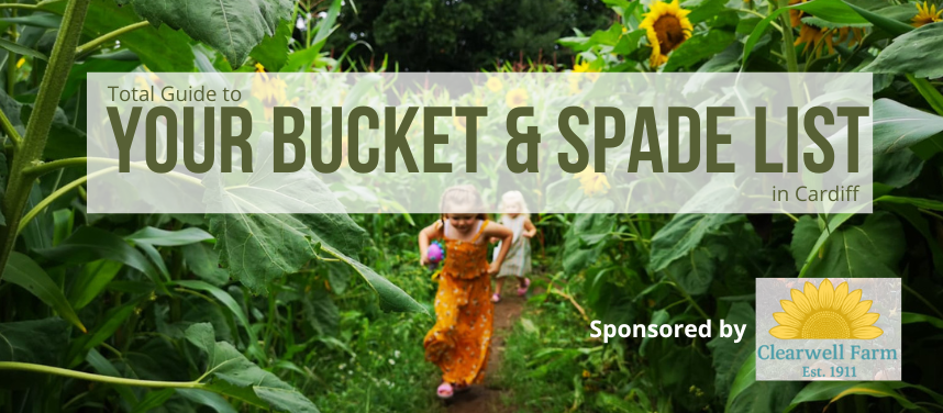Your Bucket & Spade List: Top 10 Summer Things to Do in Cardiff