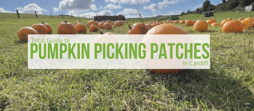 Pumpkin Picking in and Around Cardiff 2026