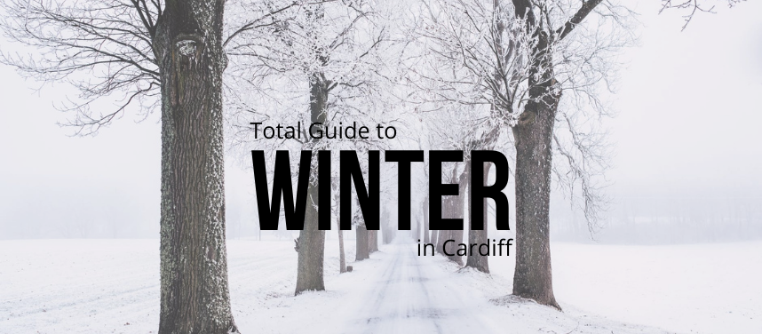 Winter in Cardiff