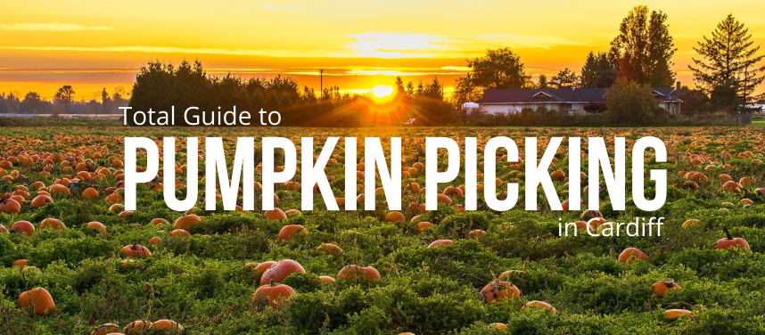 Pumpkin Picking in and Around Cardiff