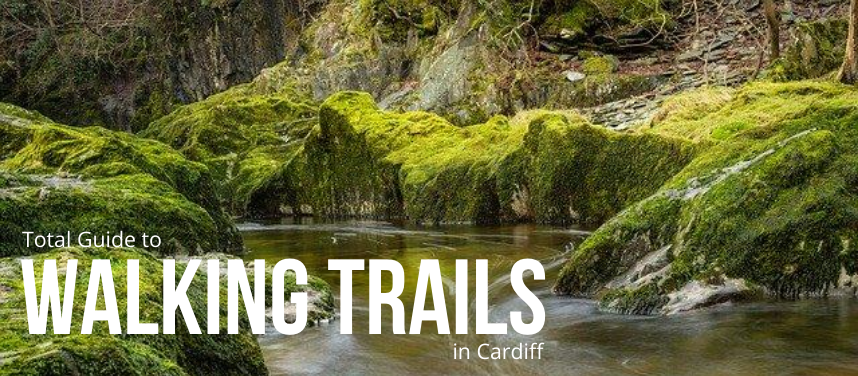Walks and Trails in Cardiff