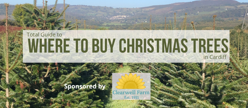 Where to Buy Christmas Trees in Cardiff